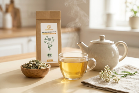 Schafgarbe Tee mit getrocknetem Schafgarbenkraut (Achillea millefolium) und frischem Schafgarben-Zweig