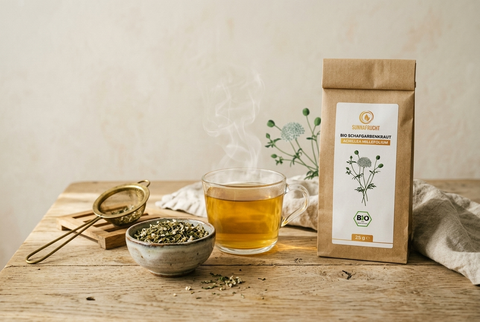 Bio Schafgarbentee in einer Tasse mit getrocknetem Schafgarbenkraut und Teesieb auf hellem Holztisch