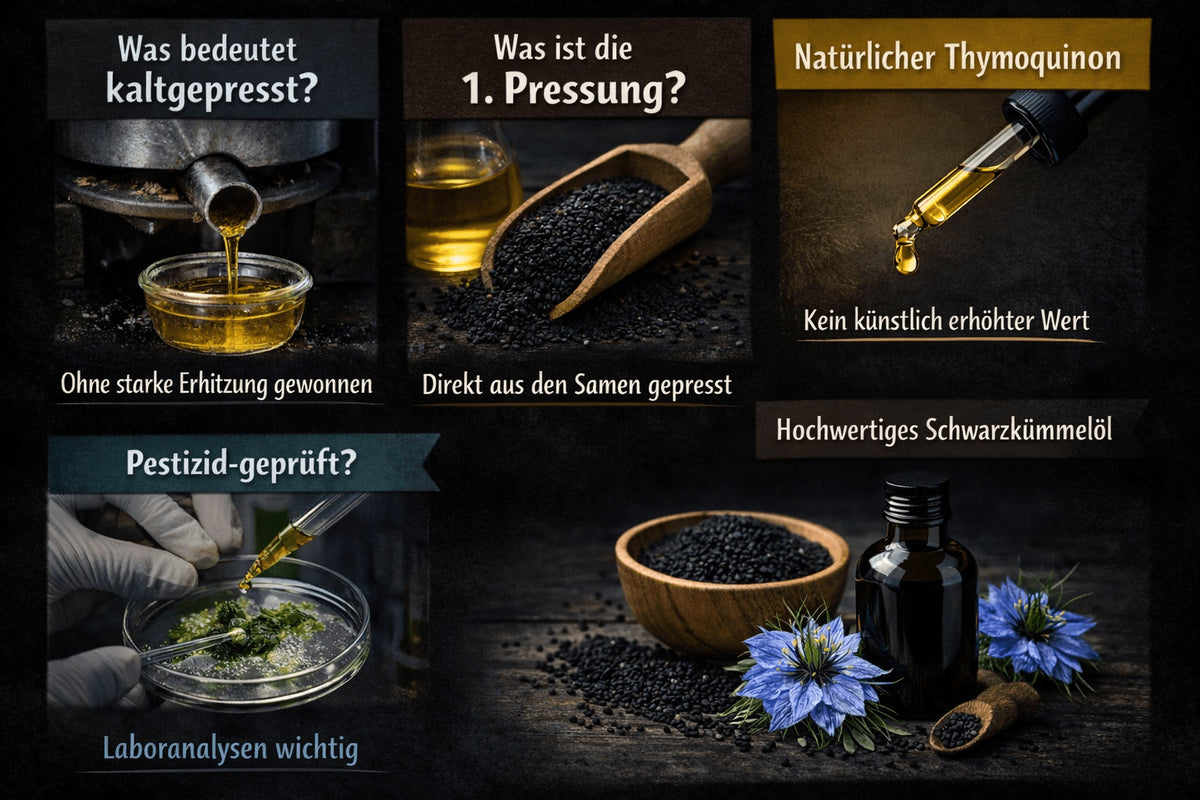 Schwarzkümmelöl kaltgepresst – worauf es wirklich ankommt