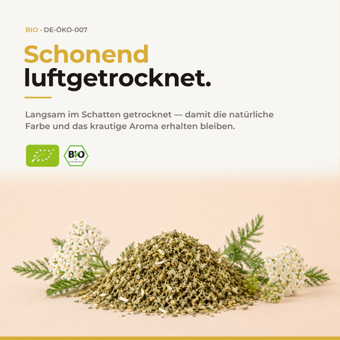 Bio Schafgarbenkraut (Achillea millefolium) | 25 g