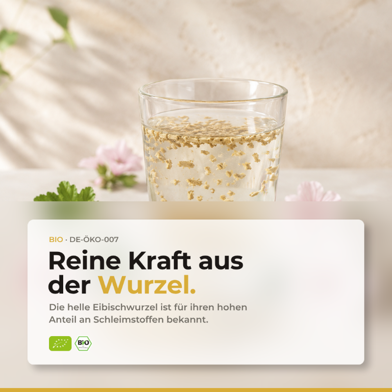Reine Kraft aus der Wurzel: Glas mit Eibischwurzel-Kaltauszug, bekannt für den hohen Anteil an Schleimstoffen