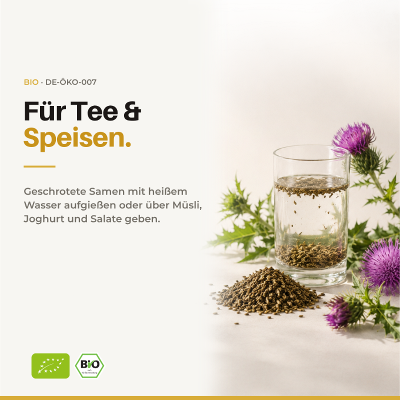 Für Tee und Speisen: Glas mit aufgegossenen Mariendistelsamen neben Samenhaufen und Distelblüten