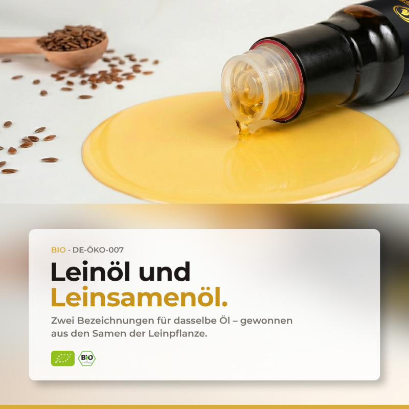 Leinöl und Leinsamenöl sind dasselbe Öl: liegende Flasche mit ausgelaufenem goldgelbem Öl und Leinsamen