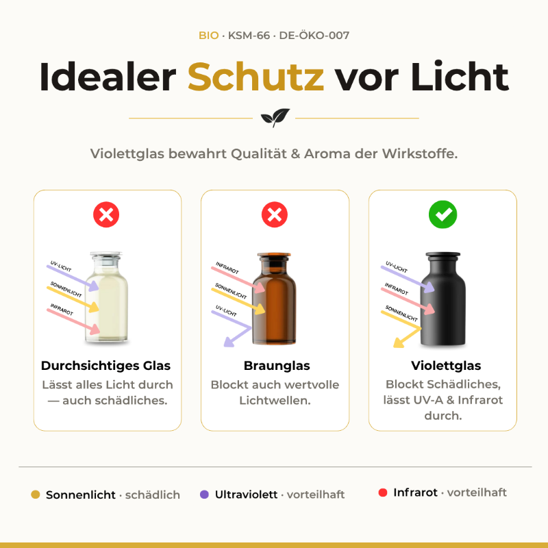 Lichtschutz-Vergleich für Bio Leinsamenöl: durchsichtiges Glas, Braunglas und Violettglas, das schädliches Licht blockt