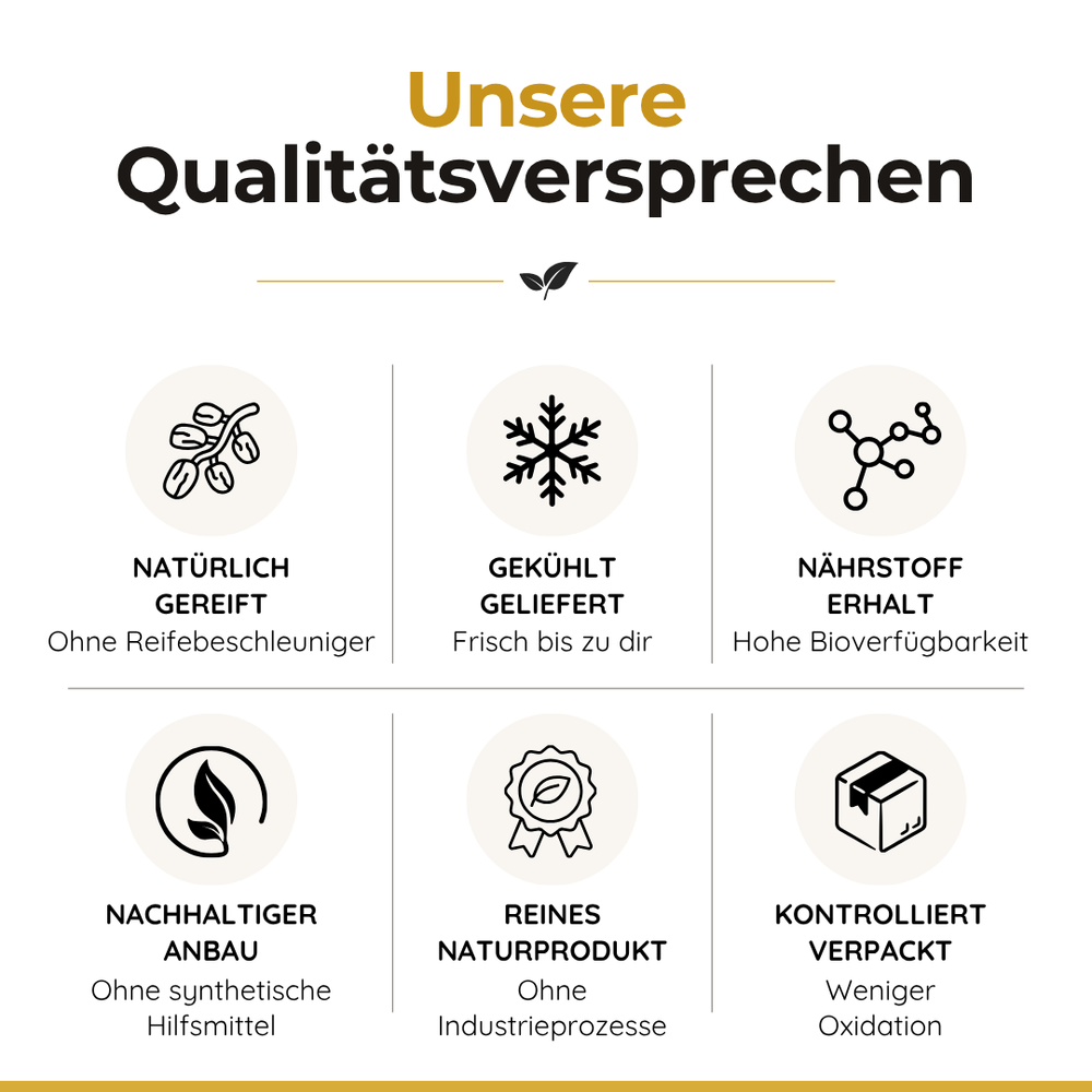 Gekühlt gelieferte Bio Rutab Sukkari Datteln für maximale Frische und weiche Konsistenz