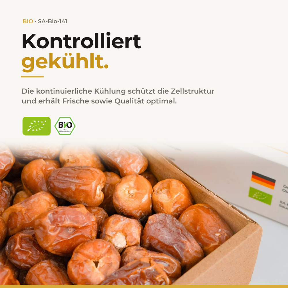 Servierte frische Bio Sukkari Datteln aus Al Qassim in einer Schale