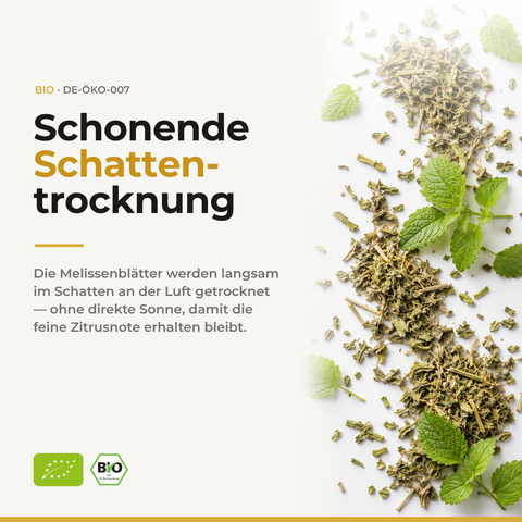 Bio Zitronenmelisse (Melissa officinalis) | 25 g