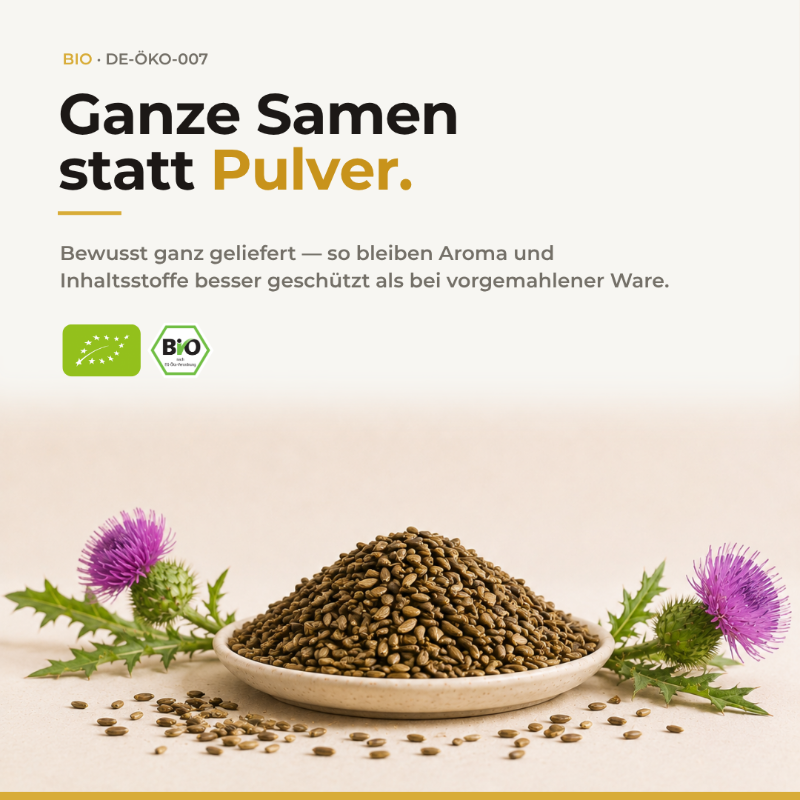 Ganze Samen statt Pulver: Schale voller Bio Mariendistelsamen zwischen violetten Distelblüten