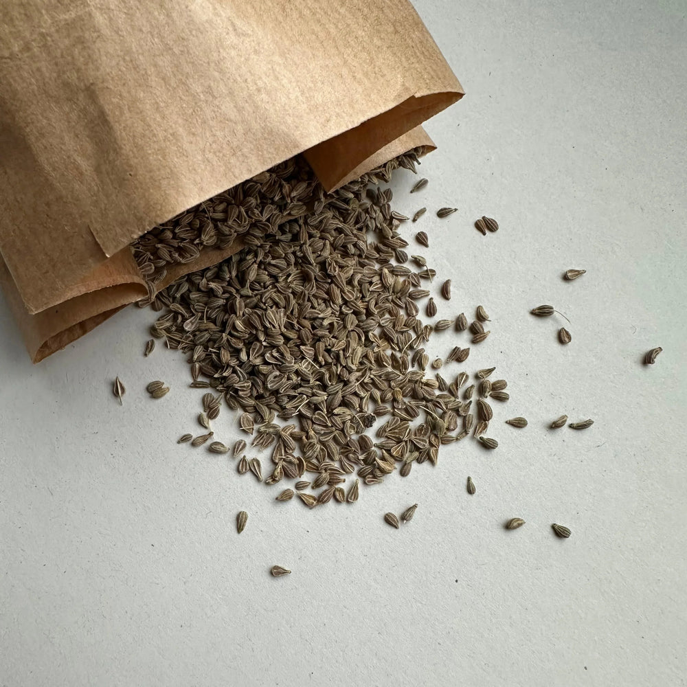 Bio Anis (Pimpinella Anisum) | 50g - Sunnafrucht® - Bio Anis (Pimpinella Anisum)
