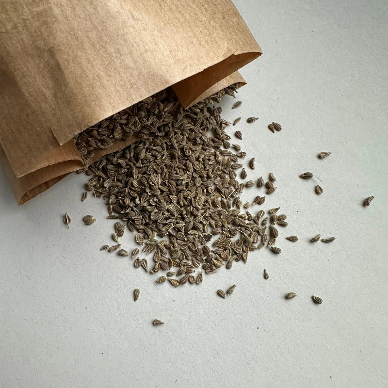 Bio Anis (Pimpinella Anisum) | 50g - Sunnafrucht® - Bio Anis (Pimpinella Anisum)