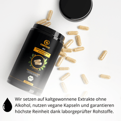 Bio Ashwagandha Kapseln | 180 Kapseln - Sunnafrucht® - Ashwaganda