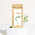 Bio Fenchelsamen Ganz (Foeniculum Angustifolia) | 50g - Sunnafrucht® - Bio Fenchelsamen Ganz (Foeniculum Angustifolia)