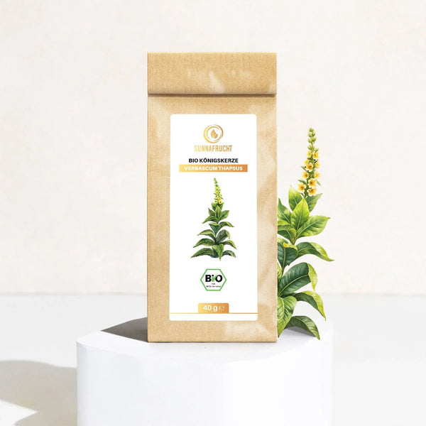 Bio Königskerzenblätter Mullein (Verbascum Thapsus) | 40g