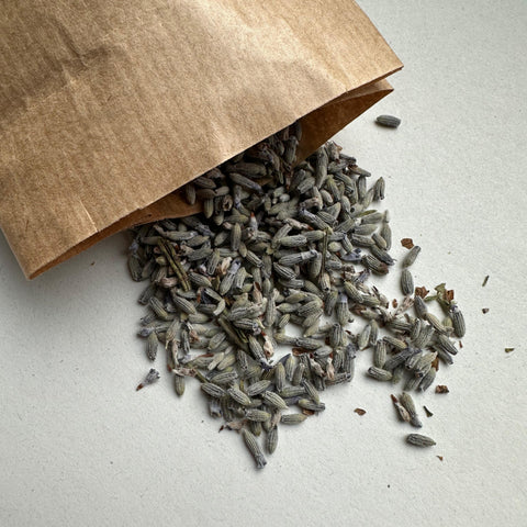 Bio Lavendel (Lavandula Angustifoilia) | 25g - Sunnafrucht® - Bio Lavendel (Lavandula Angustifoilia)