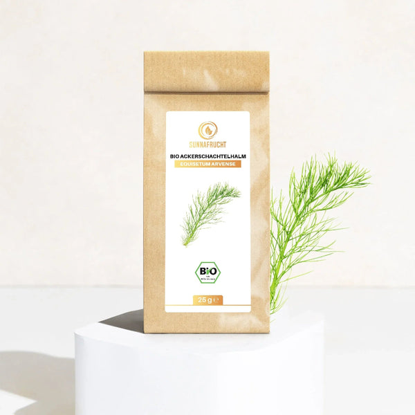 Bio Zinnkraut Ackerschachtelhalm (Equisetum Arvense) | 25g